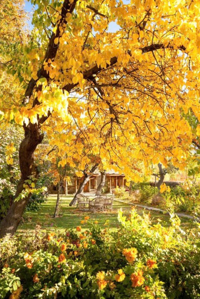 TOUR KHÁM PHÁ MONO PAKISTAN BẢN MỚI NHẤT 2026 (9 NGÀY 8 ĐÊM) TỪ HÀ NỘI TP HỒ CHÍ MINH NƠI THUNG LŨNG HUNZA BÌNH YÊN MÀ RỰC RỠ SẮC MÀU 