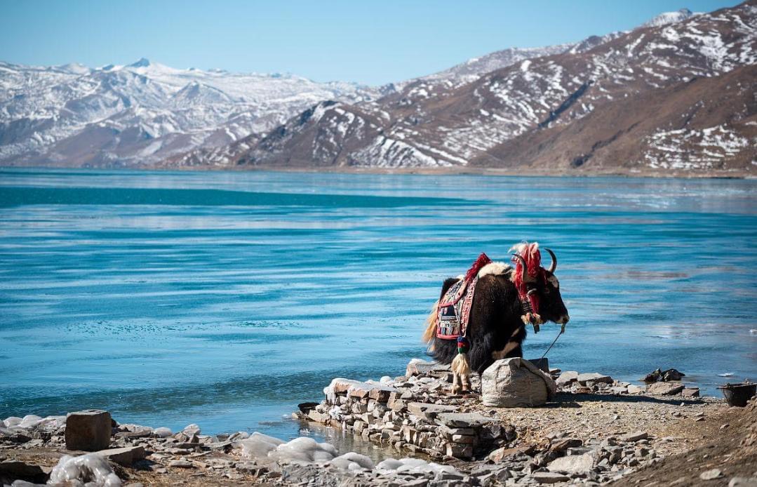 TOUR HÀ NỘI TP HCM TÂY TẠNG CHECK IN EVEREST KHÁM PHÁ NHỮNG TU VIỆN VÀ THÁNH HỒ LINH THIÊNG ĐÓN BÌNH MINH HUYỀN ẢO TRÊN ĐỈNH EVEREST