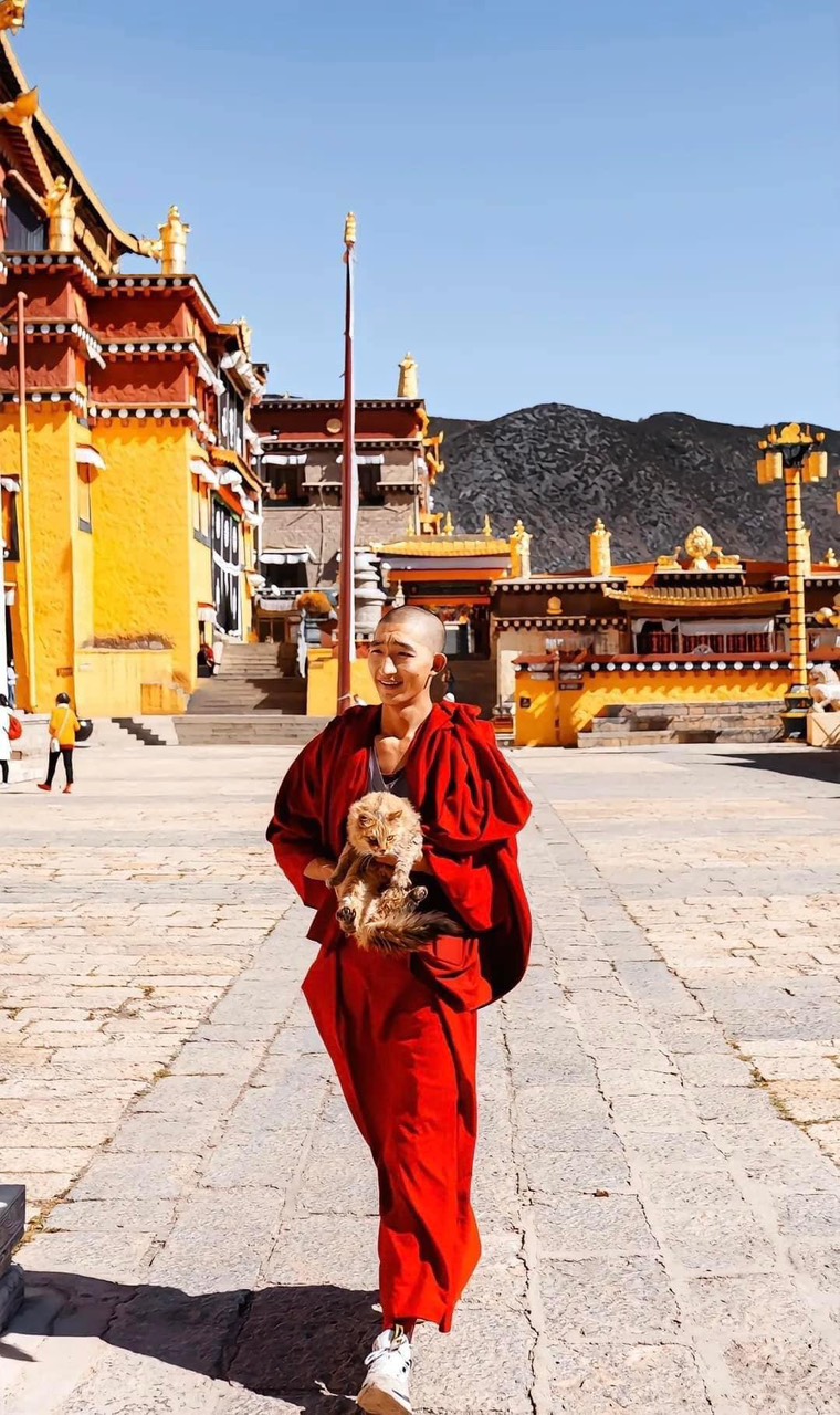 TOUR TÂY TẠNG RÚT NGẮN 6 NGÀY 5 ĐÊM GIÁ RẺ NHẤT (SUMMIT TRAVEL) KHÁM PHÁ CON ĐƯỜNG MÂY TRẮNG CÙNG THÁNH HỒ THIÊNG XANH HUYỀN BÍ  BAY HÀNG KHÔNG 3U GIÁ RẺ 
